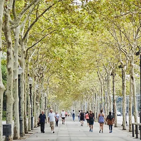 Centric And Spacious, Excellent For Families Apartment Barcelona