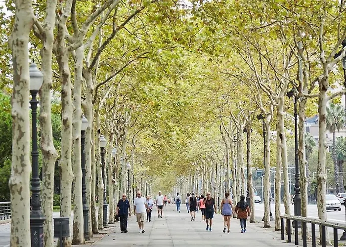 Centric And Spacious, Excellent For Families Appartamento Barcellona